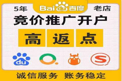 百度推广费用的投入与市场占有率提升的关联案例